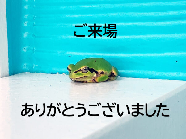 ぽっくハウスの完成さわやかなブルーのサーファーズハウスの見学会。ご来場ありがとうございました。