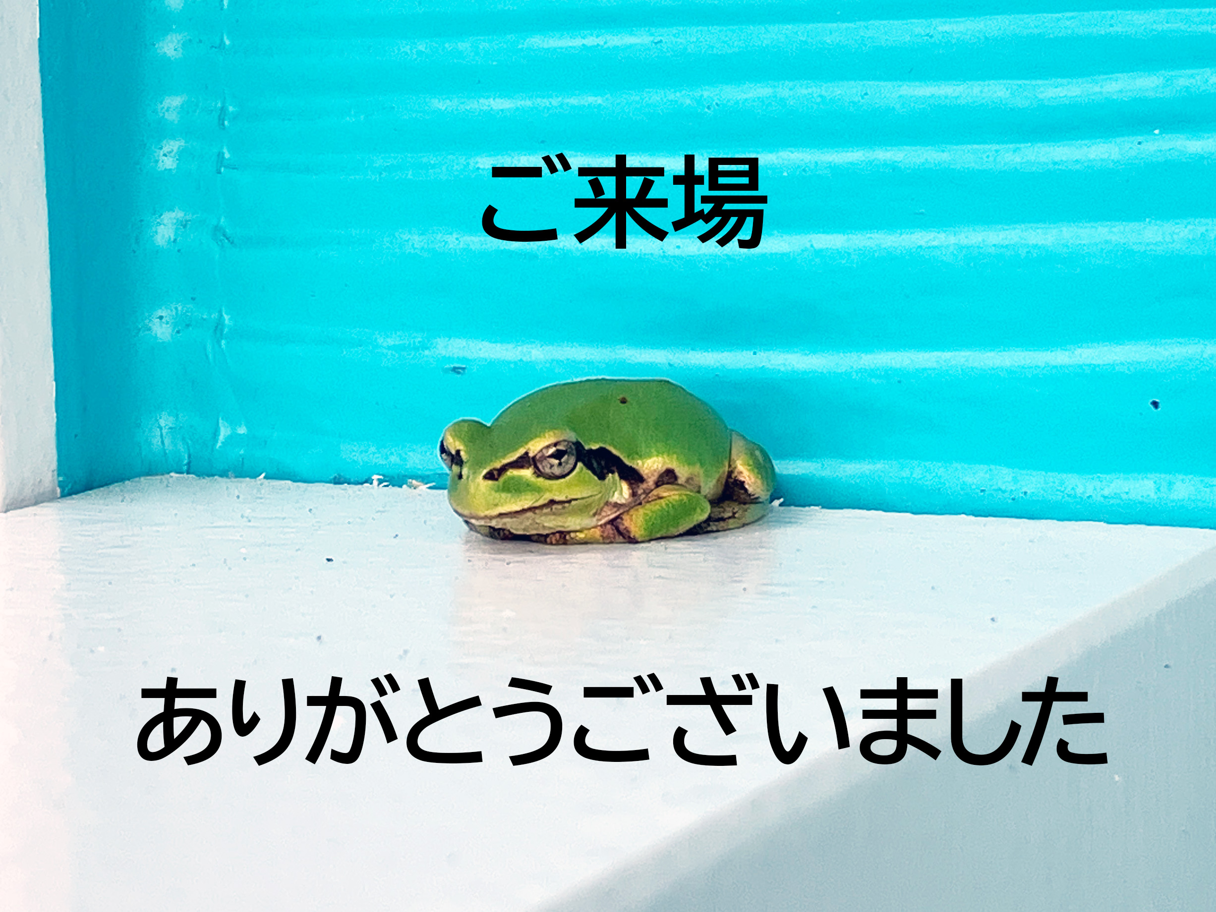 ぽっくハウスの完成さわやかなブルーのサーファーズハウスの見学会。ご来場ありがとうございました。